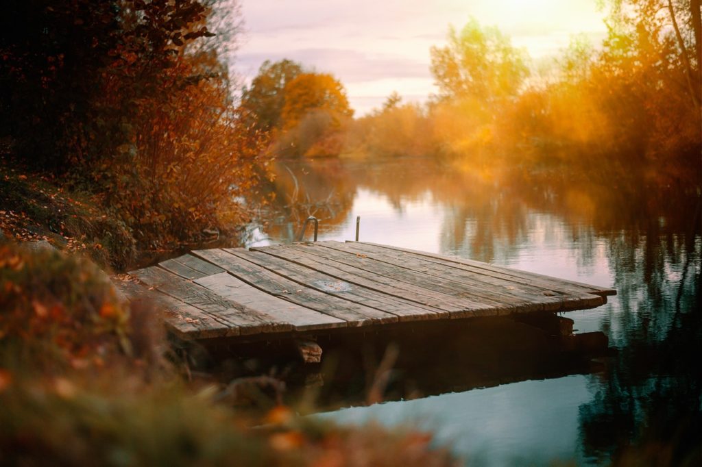 lake, boardwalk, nature-4639368.jpg